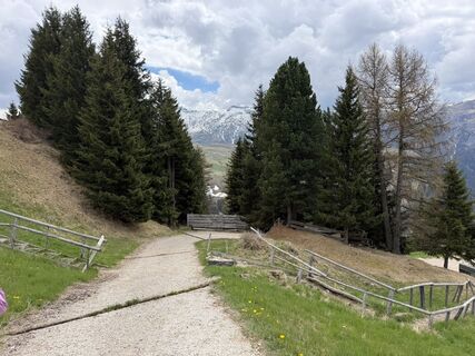 Foto von Sabine Curt entlang der Tour