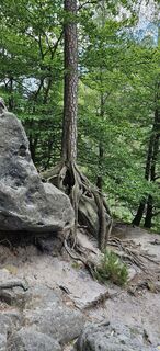 Photo de Bert le long du parcours