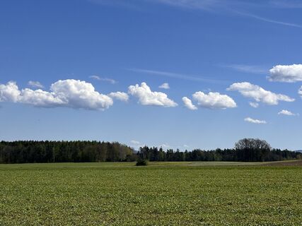 Foto von Norbert Herbig entlang der Tour