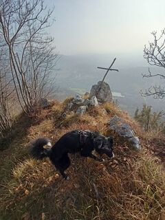Foto von pat59a60 entlang der Tour