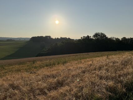 Foto von Schaali entlang der Tour