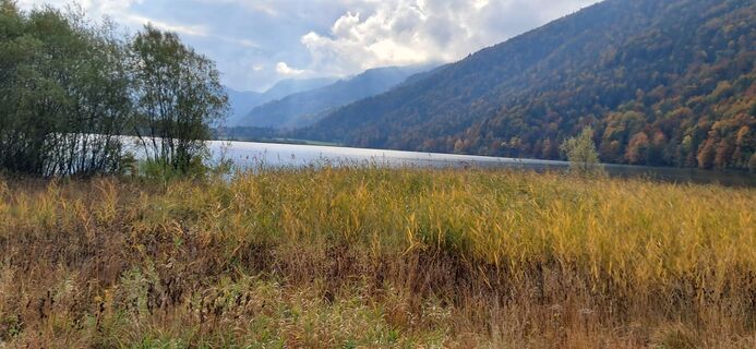 Foto von Buchegger Barbara entlang der Tour