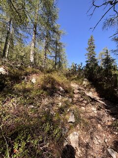 Foto von Moritz Baumgartner 2 entlang der Tour