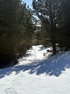 Foto de Meszaros Marianna a lo largo del recorrido