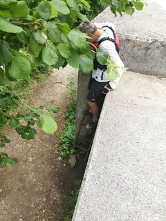 Die versteckte kleine Leiter - ein bisschen muss man schon klettern.