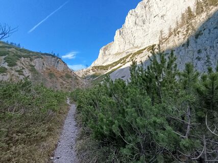 Foto von rotbaeder entlang der Tour