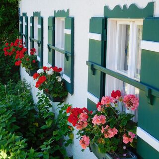 Ländliche Idylle am Dürrnberg