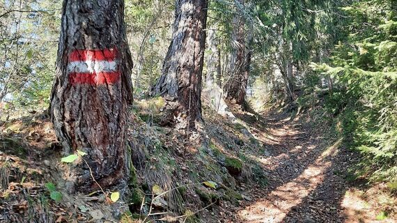 Der Wanderweg ist durchgehend gut markiert
