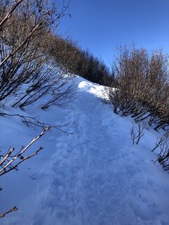 Fotografie de la Martin Hentschel de-a lungul turului