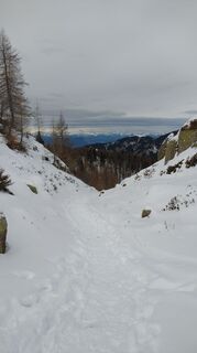 Fotografija s spletne strani oscarpette82 na poti