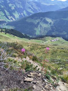 Foto von Chris K 1 entlang der Tour