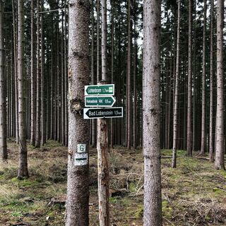 Rundwanderweg 6