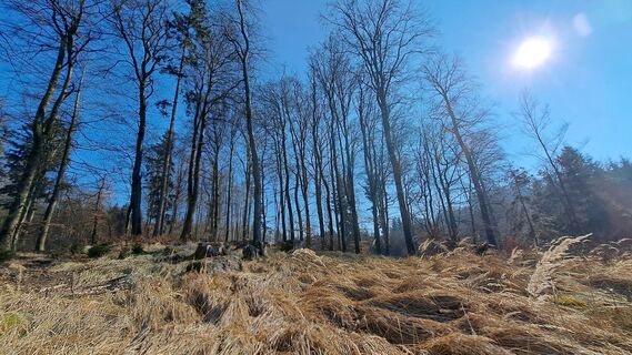 Photo de Anita Lunzer 1 le long du parcours