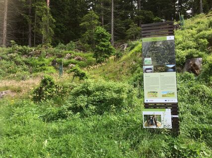 Beginn Goglesalm.JPG