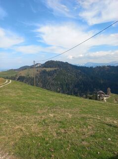 Fotografia z mosi mönä na trase