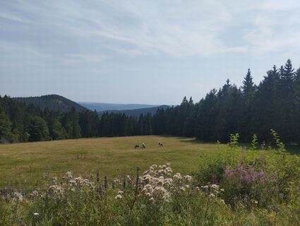 Foto von Andreas Eckstein entlang der Tour