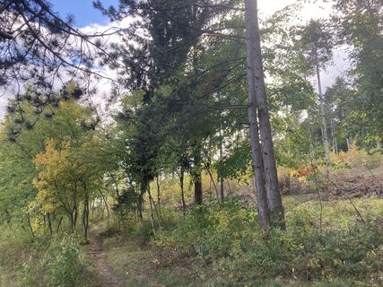 Photo de Reinhard S le long du parcours