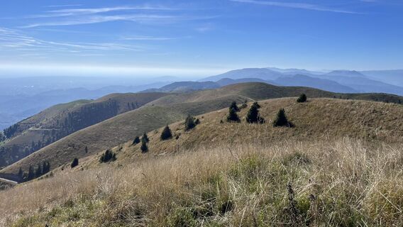Fotografija s spletne strani Jörg Lahmer na poti