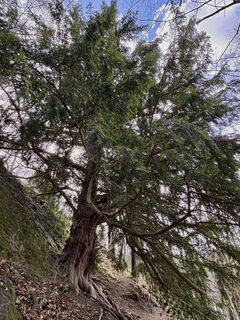 Fotografija s spletne strani berg-wanderer na poti