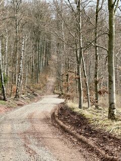 Foto von L.N. entlang der Tour