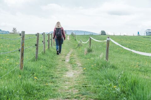 Wiesenweg am Panoramarundweg