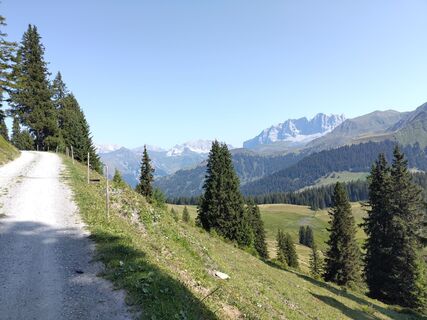 Foto von Stefan Heinzelmann entlang der Tour
