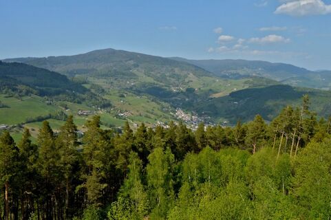Wanderung Orbey - Rundweg Faudé