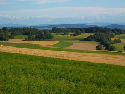 Alpensicht