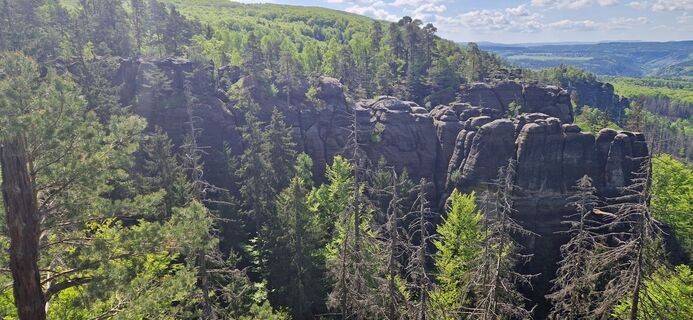 Fotografia z Ronny Kalusa na trase
