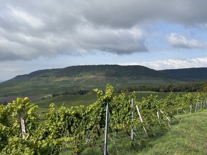 Photo de Norbert Herbig le long du parcours