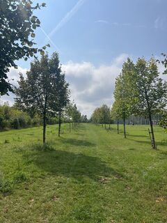 Foto von Marlene Hronicek entlang der Tour