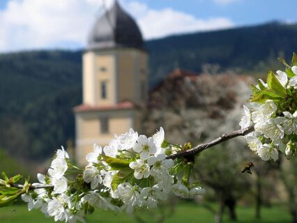 AbteiSeckau-Außenansicht4-Murtal-Steiermark
