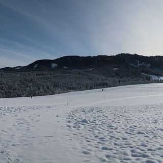 Aussicht Richtung Schwarzenbühl