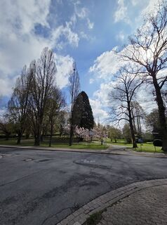 Foto von Frank Köhler 4 entlang der Tour