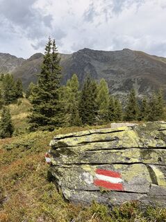 Fotografija s spletne strani Hans Peter Gröchenig na poti