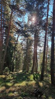 Foto de Rene Wippel a lo largo del recorrido