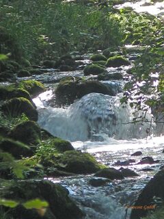 "Die wilde Eyach"