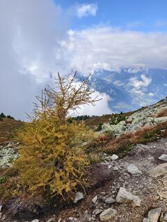 Fotografie z Porpáczy Szabina na trase