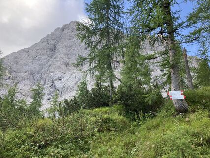 Fotografija s spletne strani michelegrassi na poti