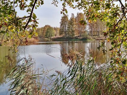 Waldsee Biehain