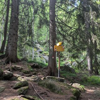 Abzweigung links nehmen