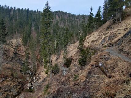 Fotografie de la Lars Vogelbein de-a lungul turului