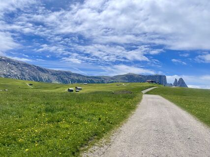 Photo de Daniela Schattauer le long du parcours
