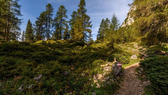 Weg von der Rofan Seilbahn Bergstation zur Dalfaz Alm