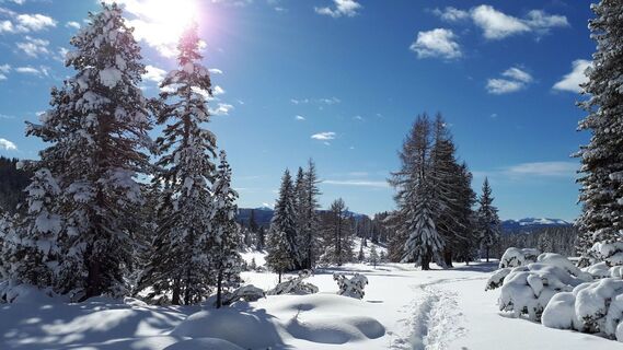 Winterwandern