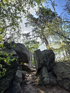 Photo de Noreen (NoKe) le long du parcours