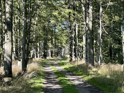 Fotografia z David Vala na trase