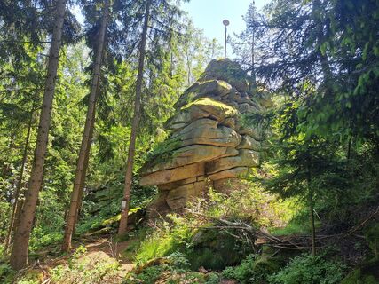Fotografia z Bellou na trase