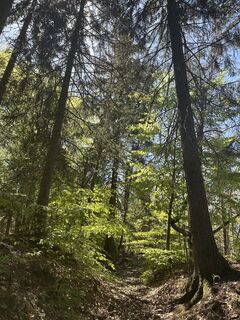 Foto de Agnese Martinelli a lo largo del recorrido