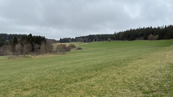 Foto von Gisbert Hahn entlang der Tour